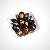 Мидии Конкасе